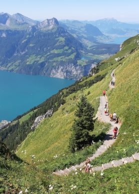 Lucerne-Ridge-Hike-Trail